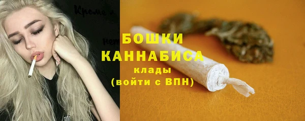 дживик Вязьма