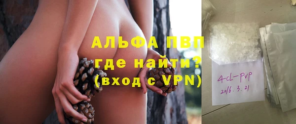 ГАЛЛЮЦИНОГЕННЫЕ ГРИБЫ Вяземский