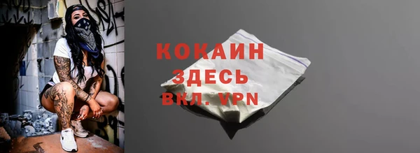 ГАЛЛЮЦИНОГЕННЫЕ ГРИБЫ Вяземский