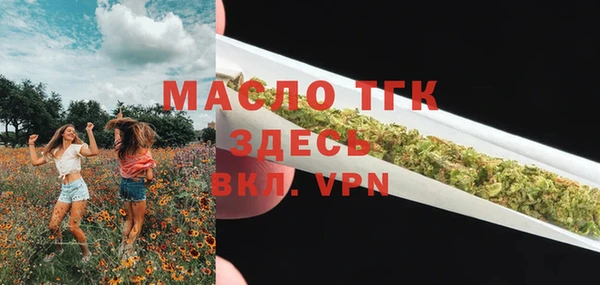 дживик Вязьма