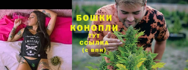 ГАЛЛЮЦИНОГЕННЫЕ ГРИБЫ Вяземский