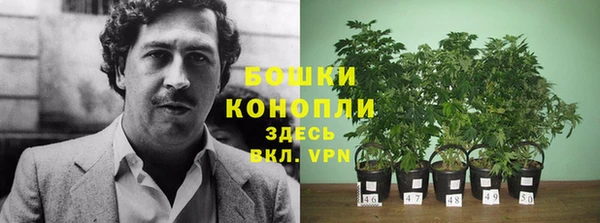 ГАЛЛЮЦИНОГЕННЫЕ ГРИБЫ Вяземский